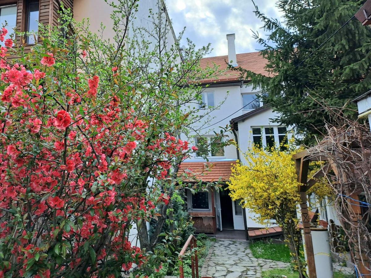7 Level Central Apartments Miercurea Ciuc Zewnętrze zdjęcie